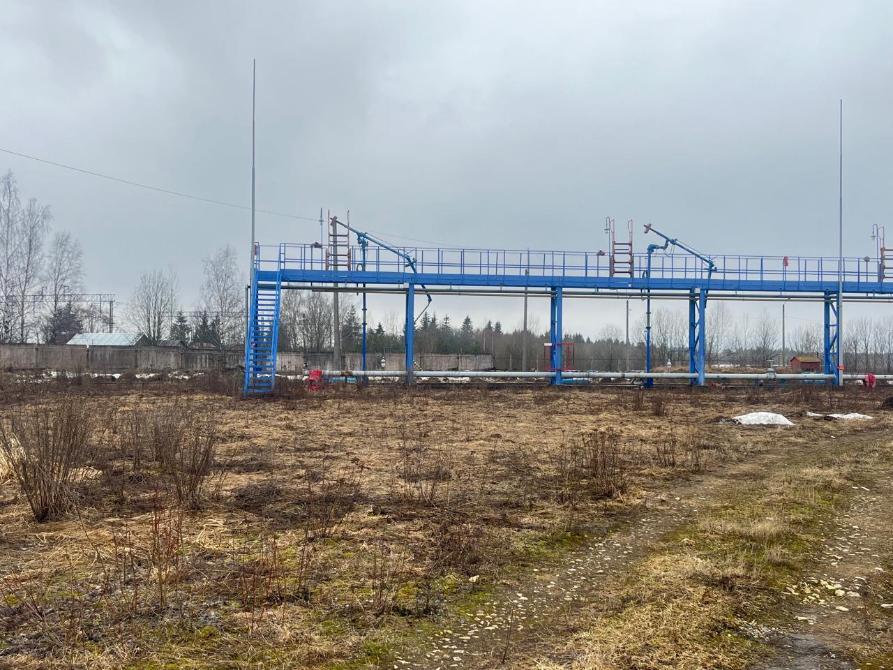 Фото земельного участка по адресу Ленинградская обл, Волосовский р-н, поселок Молосковицы